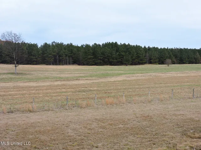 $2,950,000 | 0 Fogg Road North, Nesbit, MS 38651