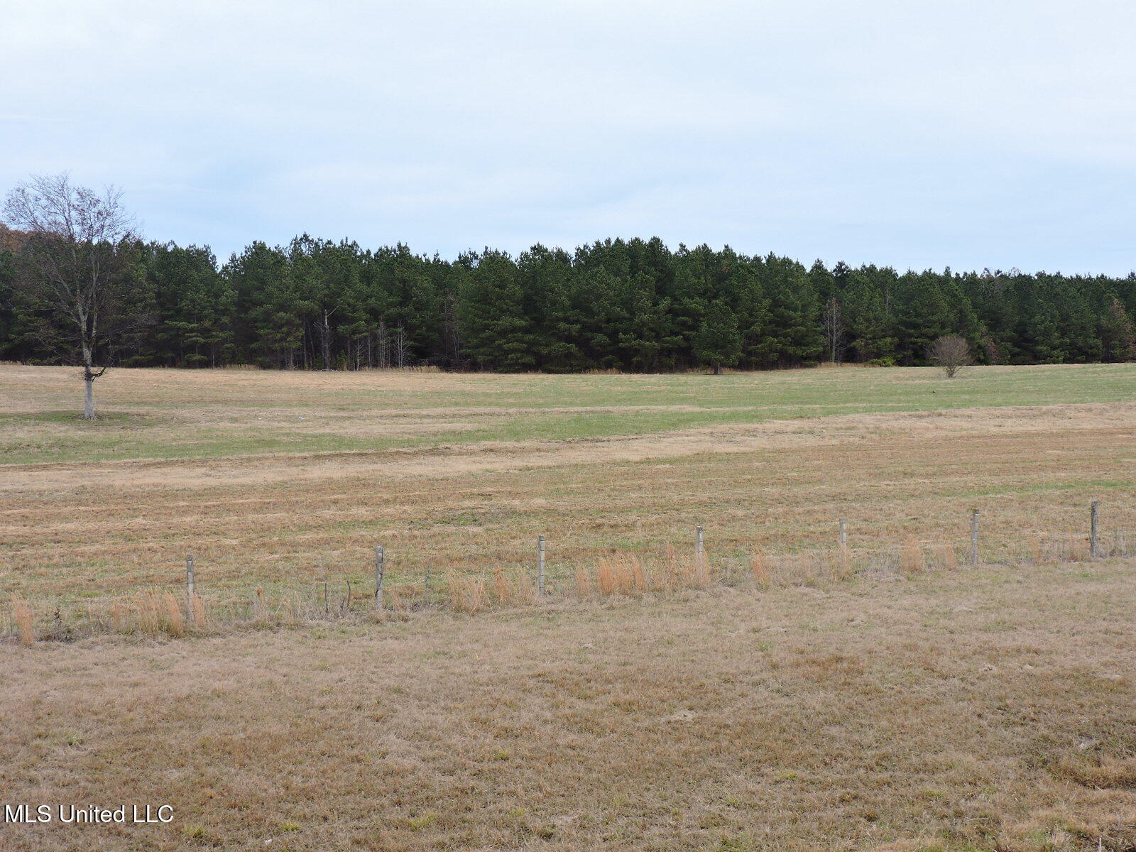 0 Fogg Road North Nesbit, MS 38651 - Photo 8 of 14 DSCN4875