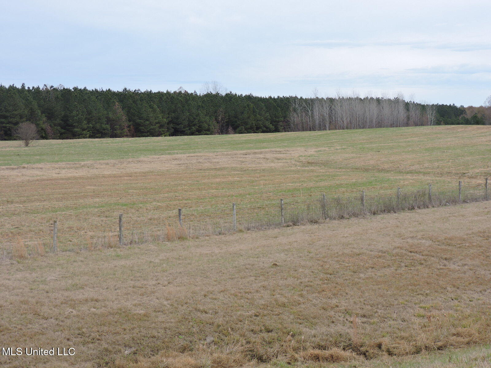 0 Fogg Road North Nesbit, MS 38651 - Photo 9 of 14 DSCN4876