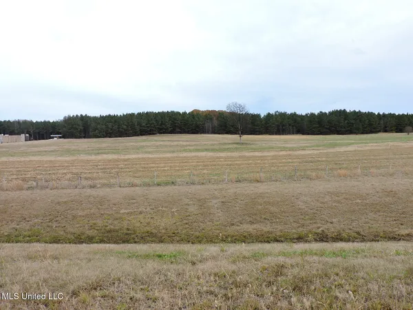 $2,950,000 | 0 Fogg Road North, Nesbit, MS 38651