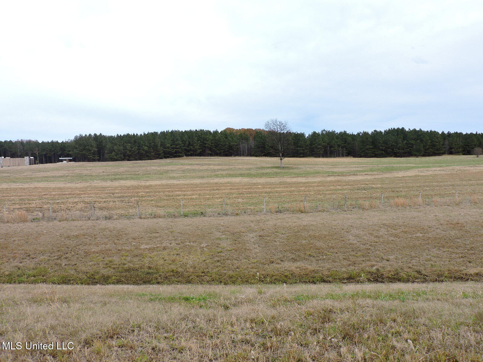 0 Fogg Road North Nesbit, MS 38651 - Photo 10 of 14 DSCN4877