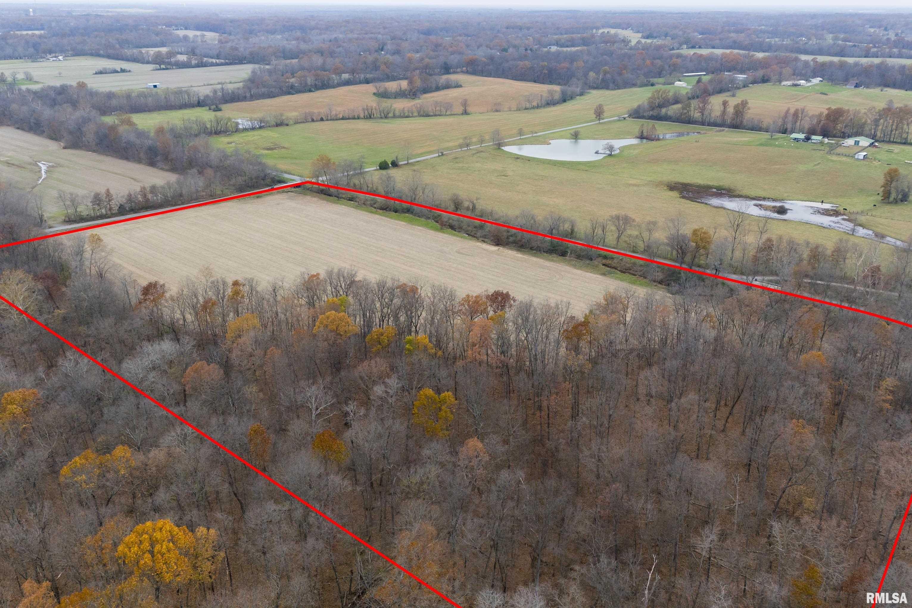 123 Perry Road Marion, IL 62959 - Photo 3 of 4
