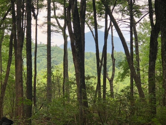 111 Uplands Road Cashiers, NC 28717 - Photo 5 of 5 Gallery Image 5