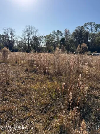 a view of a dry field with trees in background