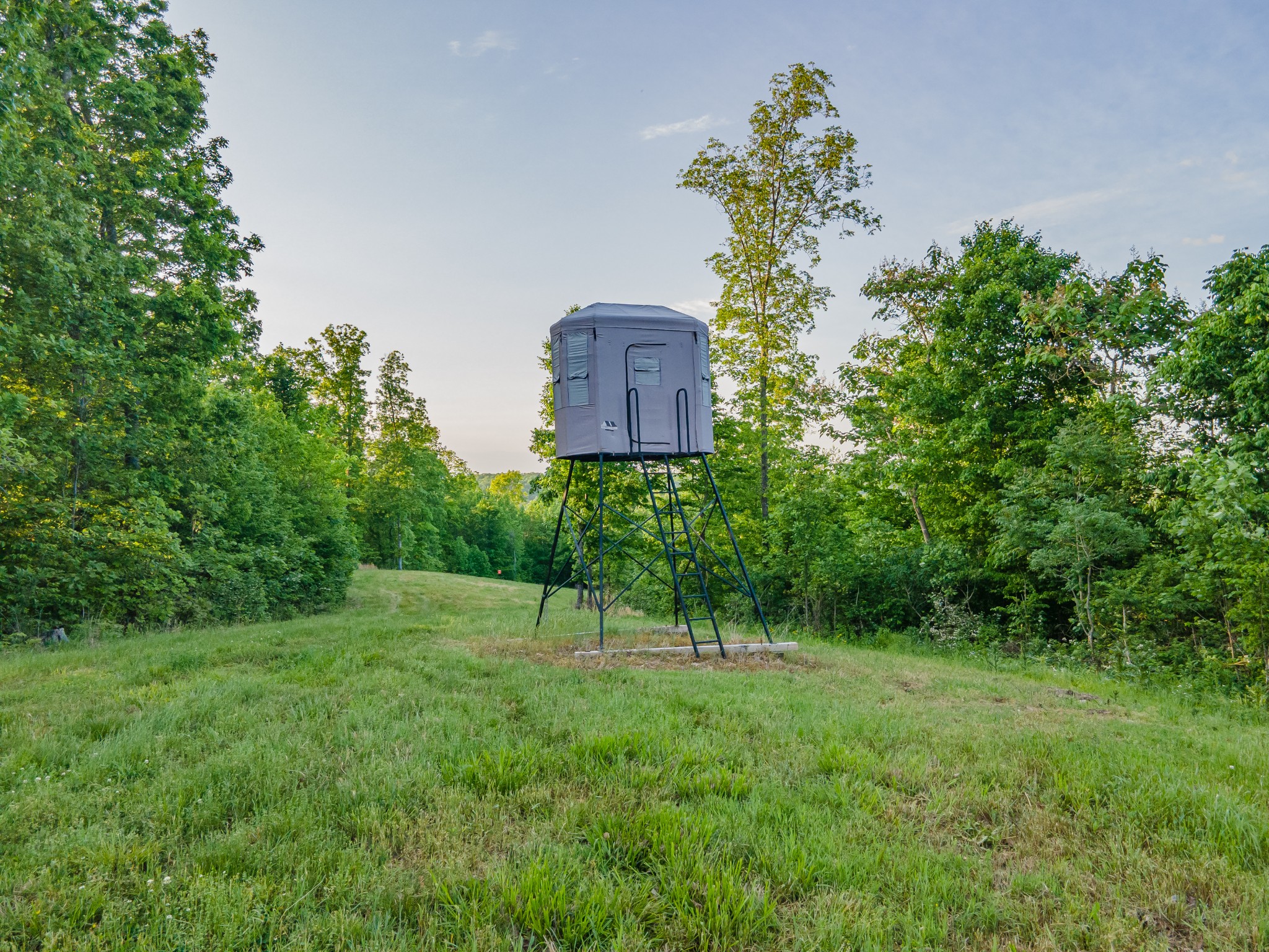 3383 Coble To Only Road Nunnelly, TN 37137 - Photo 53 of 75