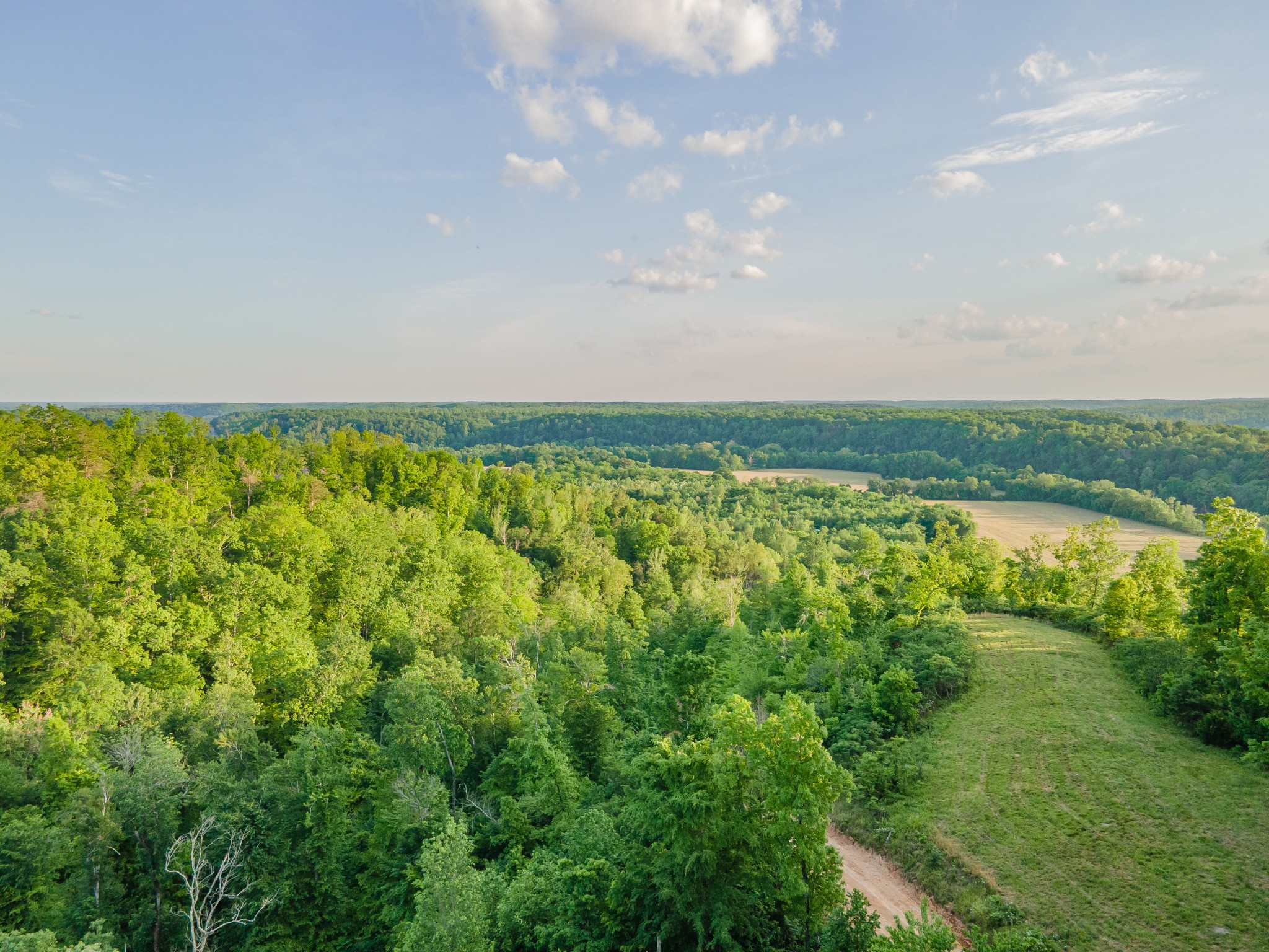 3383 Coble To Only Road Nunnelly, TN 37137 - Photo 60 of 75