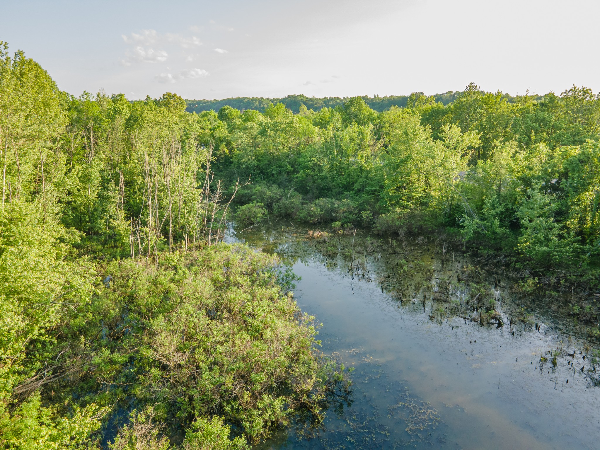 3383 Coble To Only Road Nunnelly, TN 37137 - Photo 69 of 75 a view of a lake with a mountain in the background