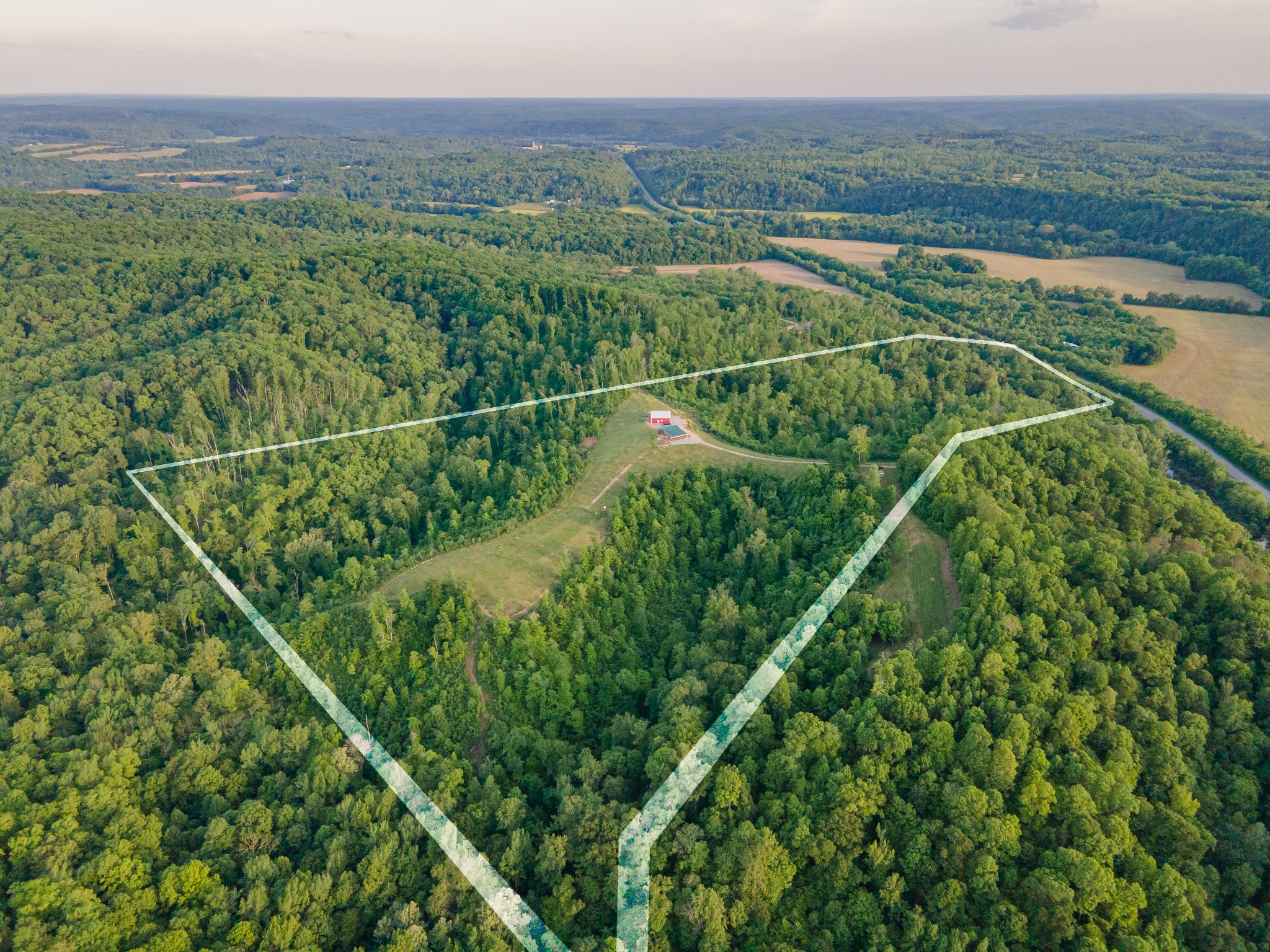 3383 Coble To Only Road Nunnelly, TN 37137 - Photo 8 of 75 a view of a field with a lush green forest