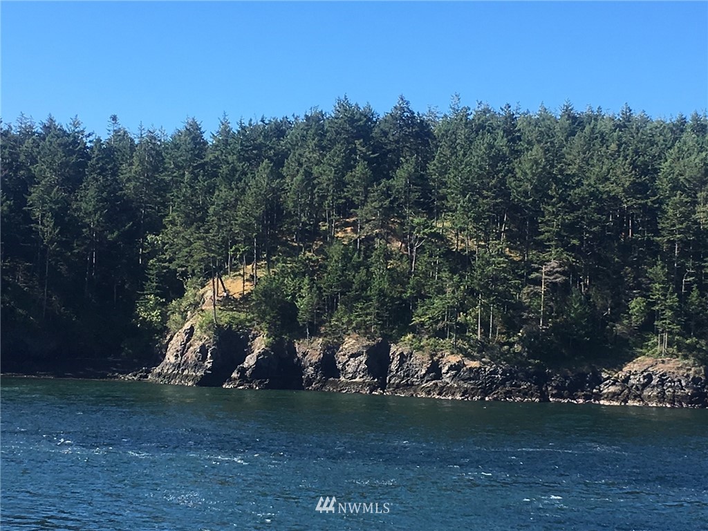 40 Pass View Road Anacortes, WA 98221 - Photo 4 of 5