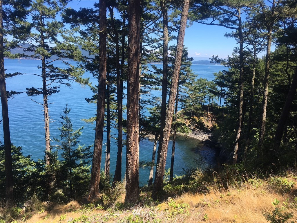 40 Pass View Road Anacortes, WA 98221 - Photo 5 of 5