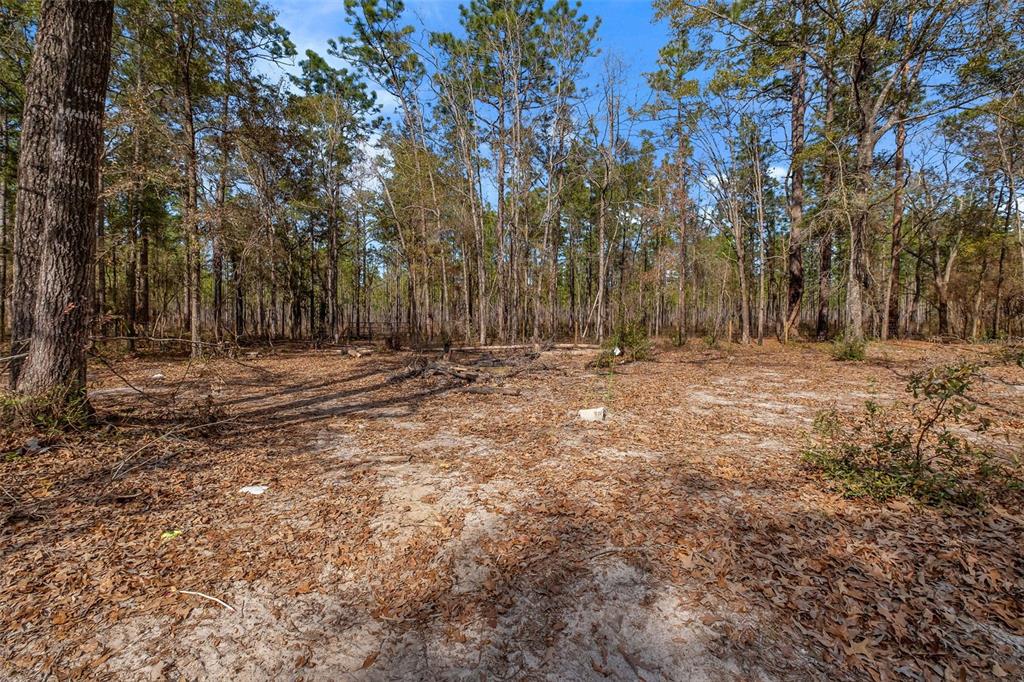 976 Hassell Road Tallahassee, FL 32305 - Photo 28 of 29