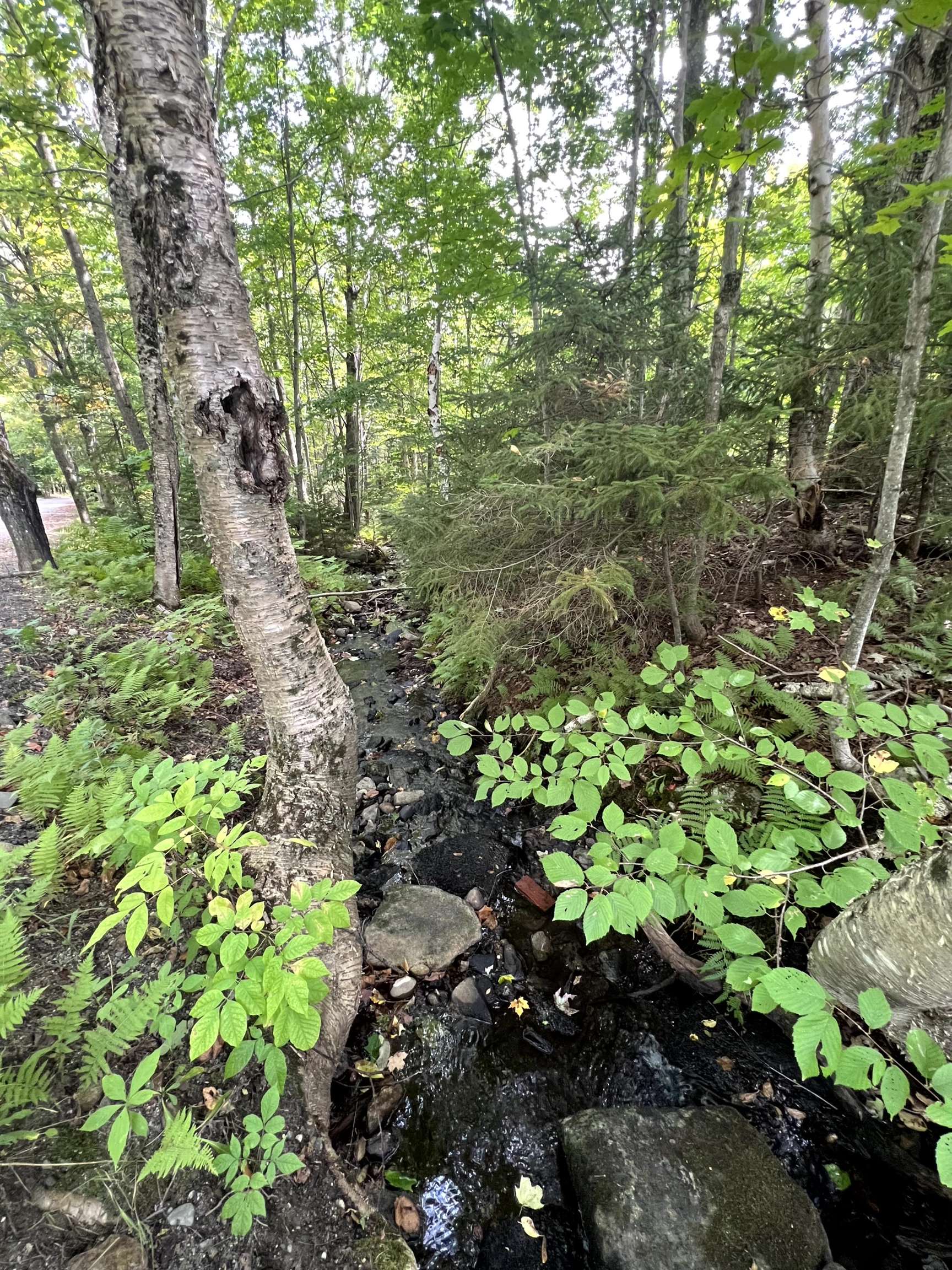 - Westover Road Jay, VT 05859 - Photo 11 of 17 Gallery Image 11