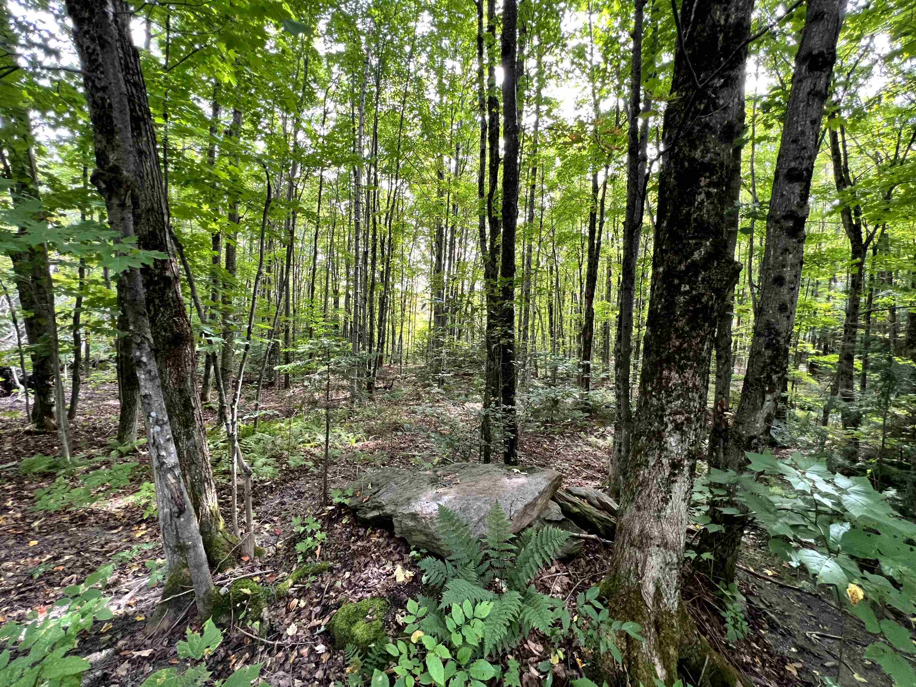 - Westover Road Jay, VT 05859 - Photo 12 of 17 Gallery Image 12