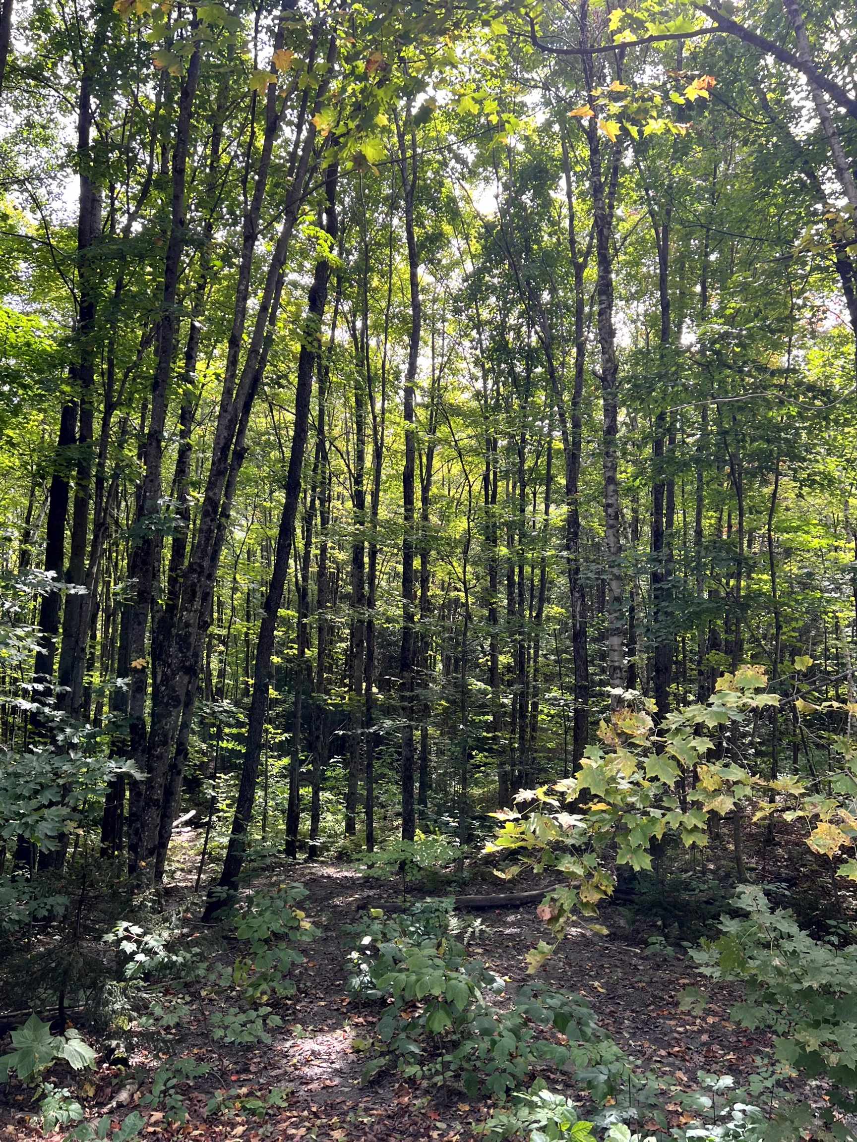 - Westover Road Jay, VT 05859 - Photo 13 of 17 Gallery Image 13