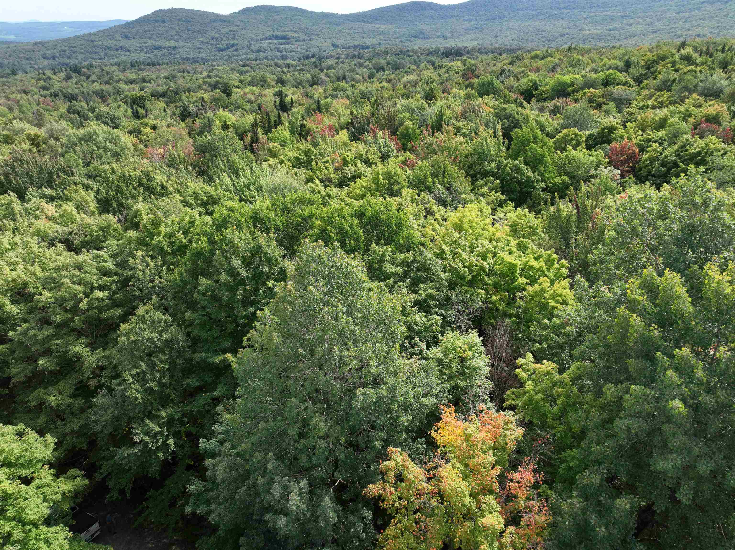 - Westover Road Jay, VT 05859 - Photo 14 of 17 Gallery Image 14