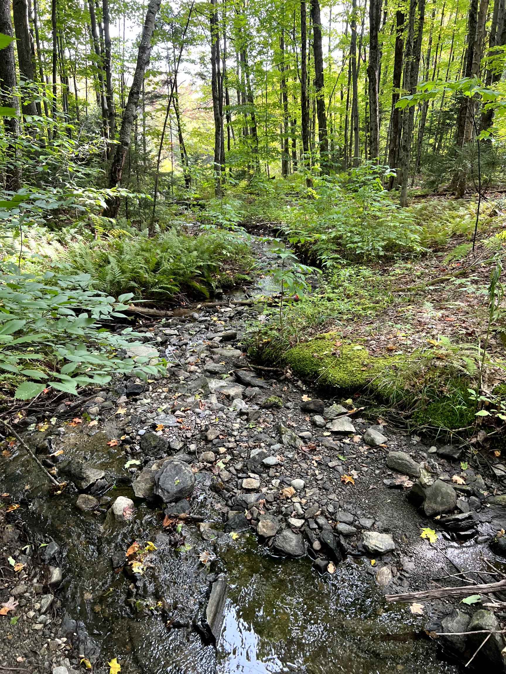 - Westover Road Jay, VT 05859 - Photo 3 of 17 Gallery Image 3