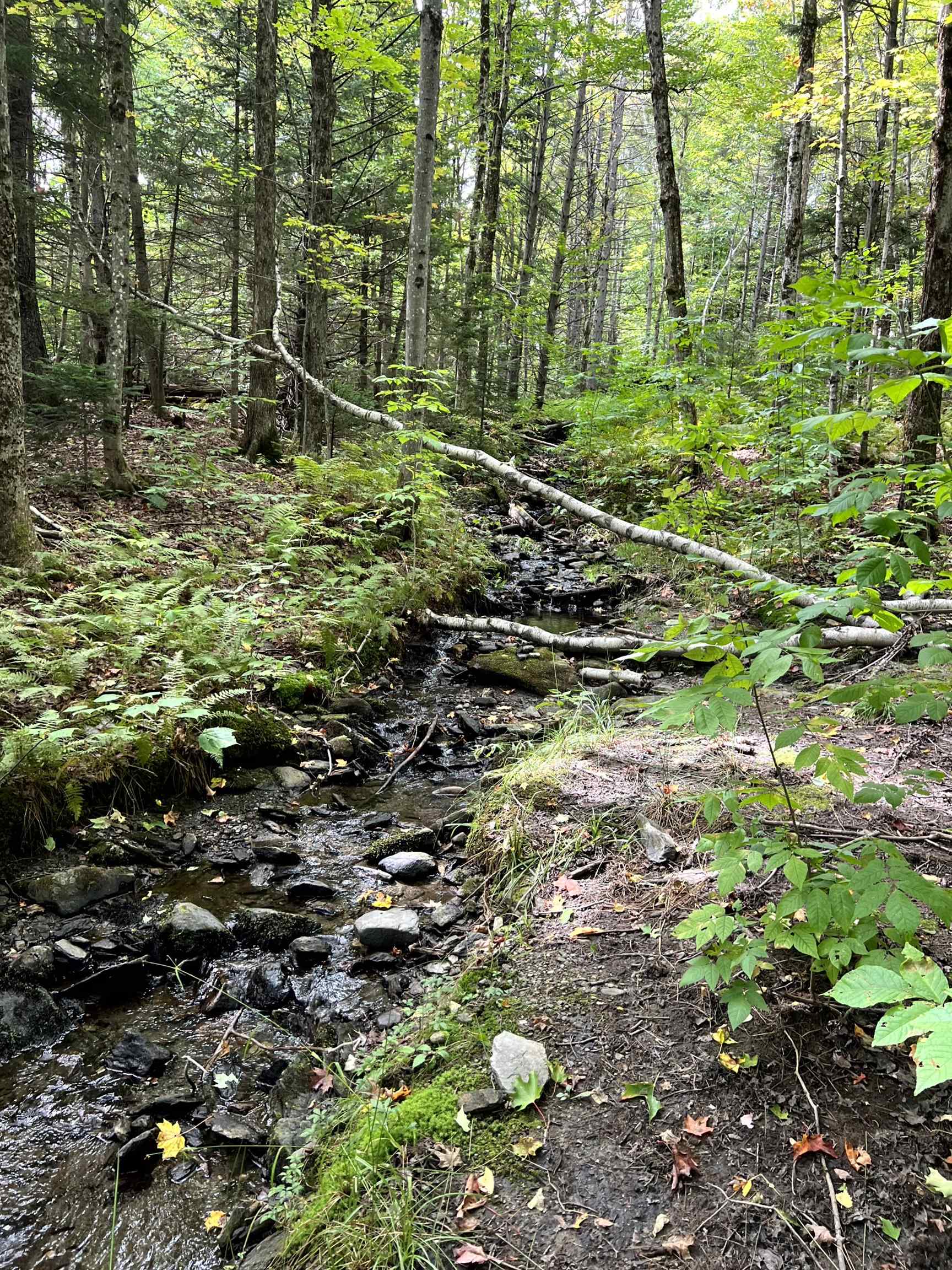 - Westover Road Jay, VT 05859 - Photo 10 of 17 Gallery Image 10