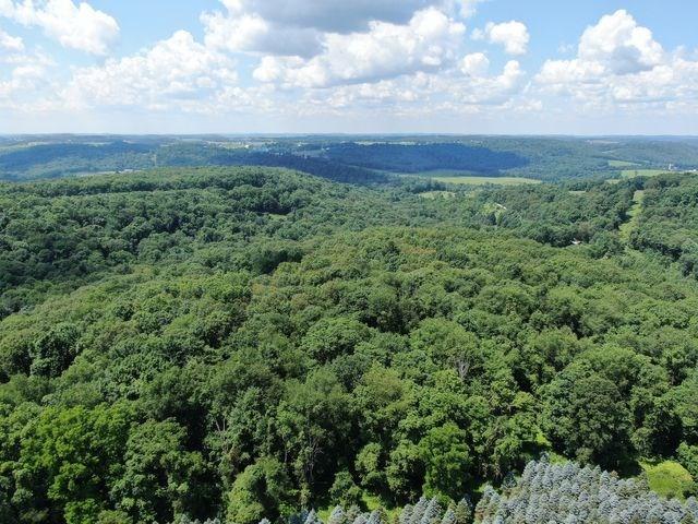 0 Dry Knob Road Smicksburg, PA 16256 - Photo 1 of 4 Gallery Image 1