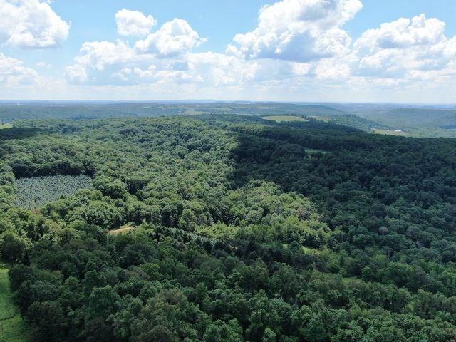 0 Dry Knob Road Smicksburg, PA 16256 - Photo 3 of 4 Gallery Image 3