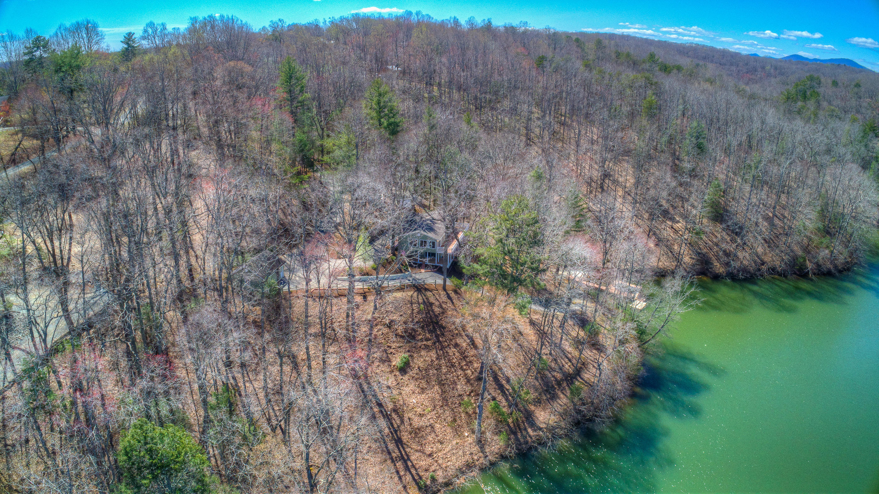 1217 Ellis Road Hardy, VA 24101 - Photo 13 of 50 DJI_0002