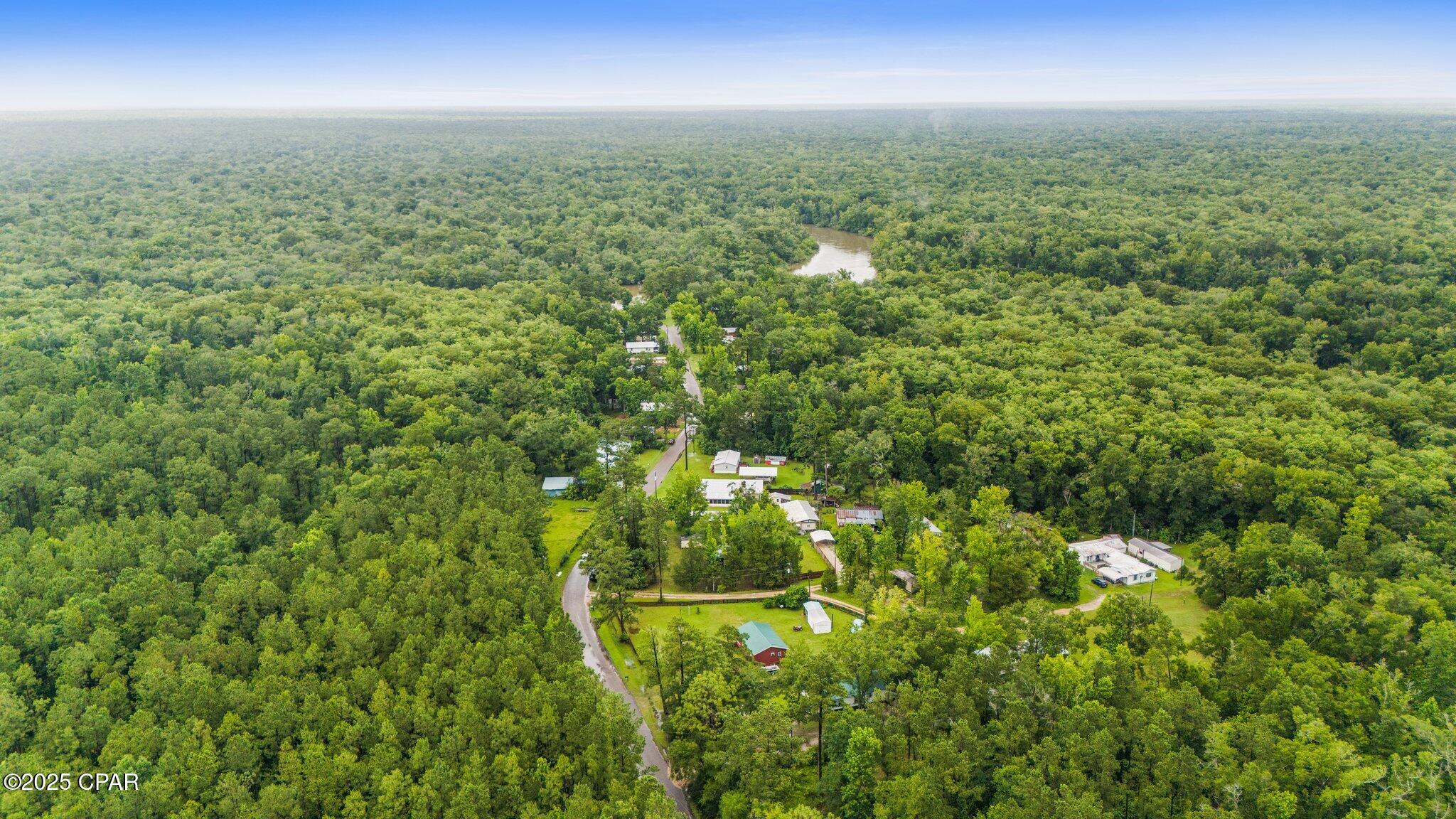 674 Bryant Landing Road Wewahitchka, FL 32465 - Photo 37 of 42