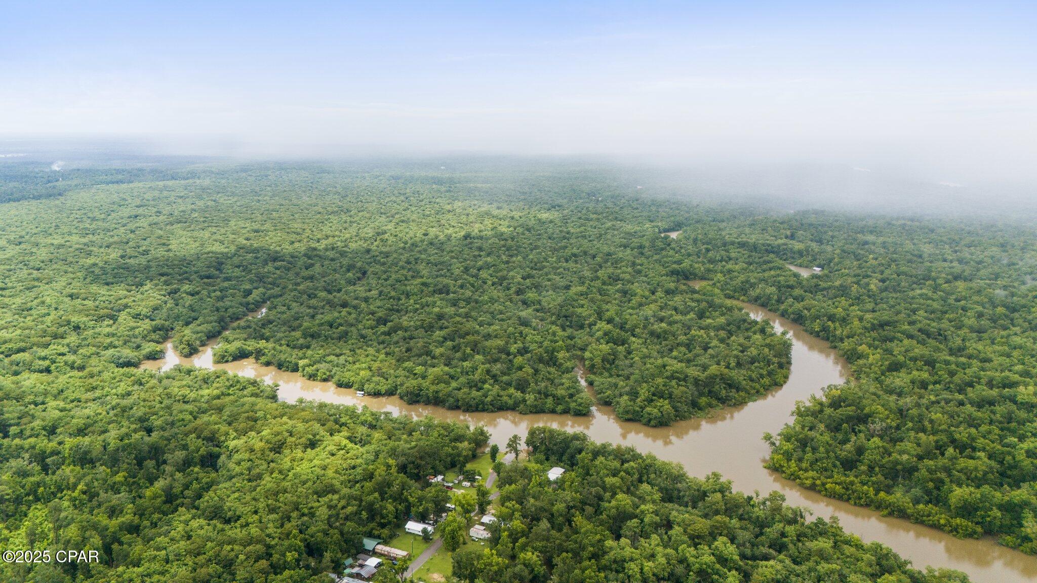 674 Bryant Landing Road Wewahitchka, FL 32465 - Photo 41 of 42