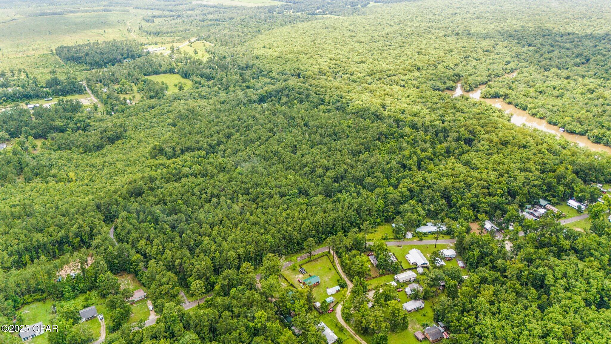 674 Bryant Landing Road Wewahitchka, FL 32465 - Photo 42 of 42