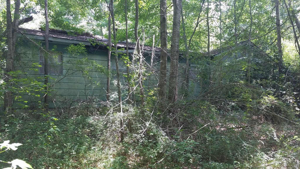 Tbd Bluff Springs Road Gloster, MS 39638 - Photo 8 of 8 Photo 8