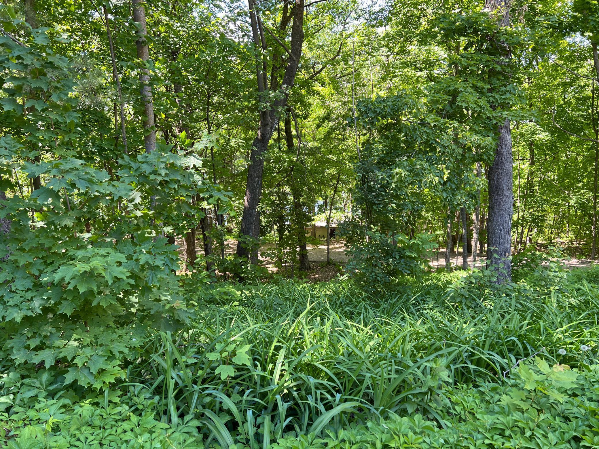 16101 Nokay Lake Road Brainerd, MN 56401 - Photo 77 of 91 Gallery Image 77