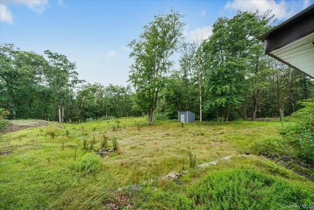 a yard with trees in the background