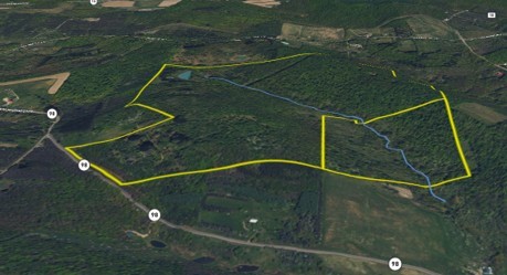 98 Nys Route Franklinville, NY 14737 - Photo 43 of 49 Gallery Image 43