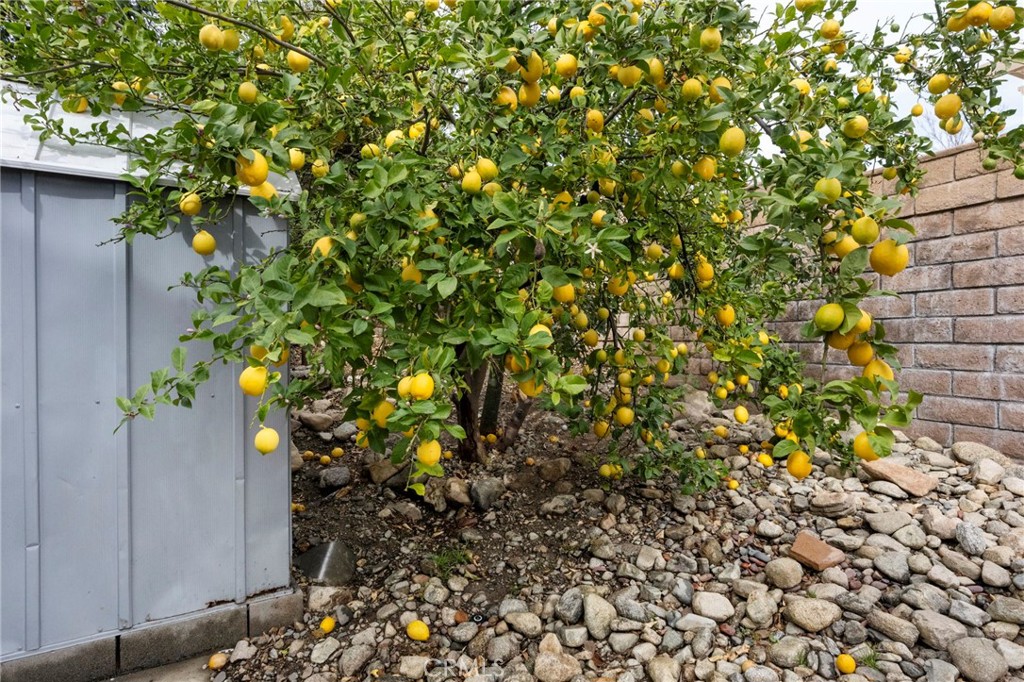 3684 North Veronica Court Rialto, CA 92377 - Photo 59 of 75