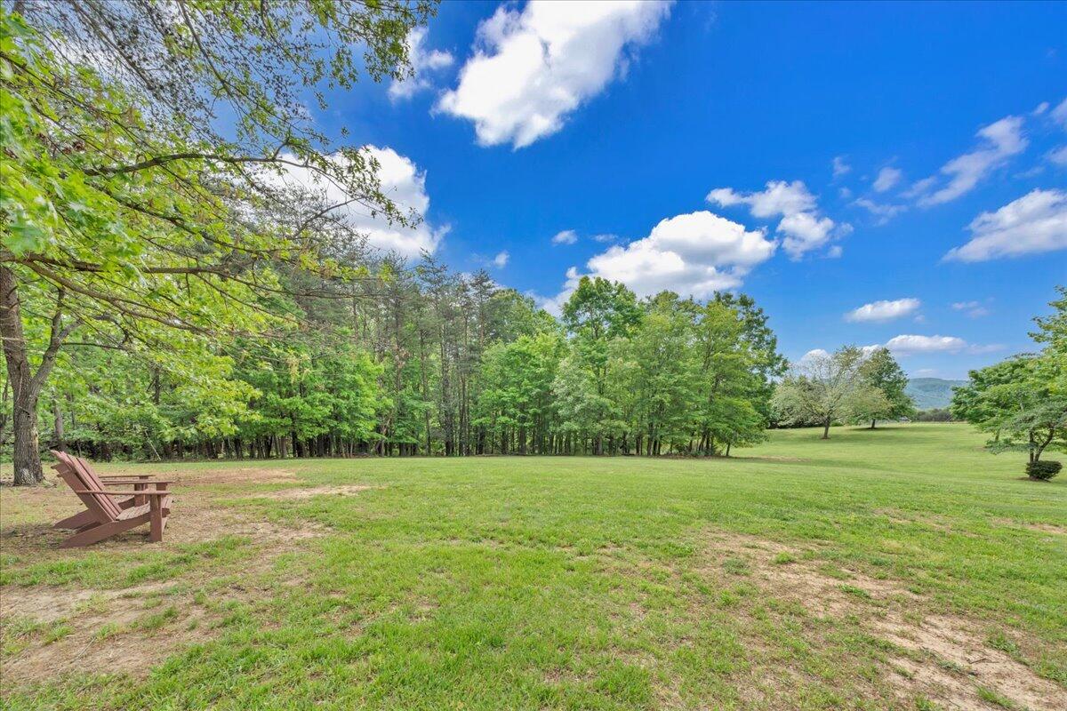 466 Thornblade Way Blue Ridge, VA 24064 - Photo 4 of 75 Your New Expansive Backyard