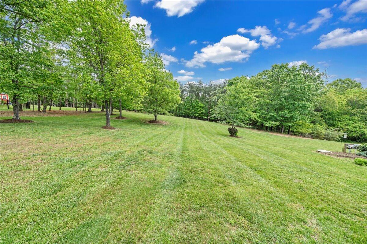 466 Thornblade Way Blue Ridge, VA 24064 - Photo 59 of 75 Breathtaking Back Yard!