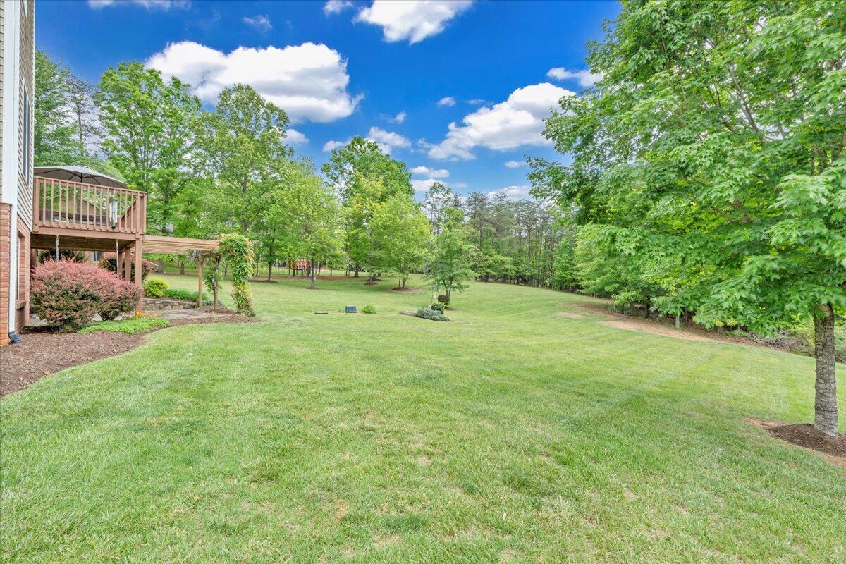 466 Thornblade Way Blue Ridge, VA 24064 - Photo 61 of 75 Side View of Yard