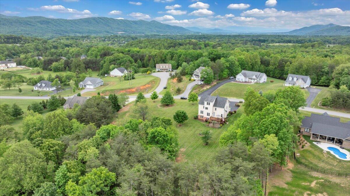 466 Thornblade Way Blue Ridge, VA 24064 - Photo 69 of 75 Aerial of Home and Neighborhood