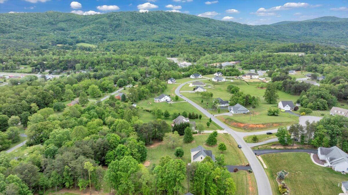 466 Thornblade Way Blue Ridge, VA 24064 - Photo 70 of 75 Thornblade Community