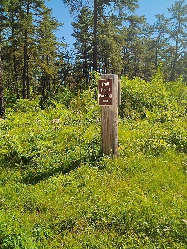 214 Lake Sherburne Road Waterboro, ME 04087 - Photo 49 of 50 IMG_20220606_094124_tmp