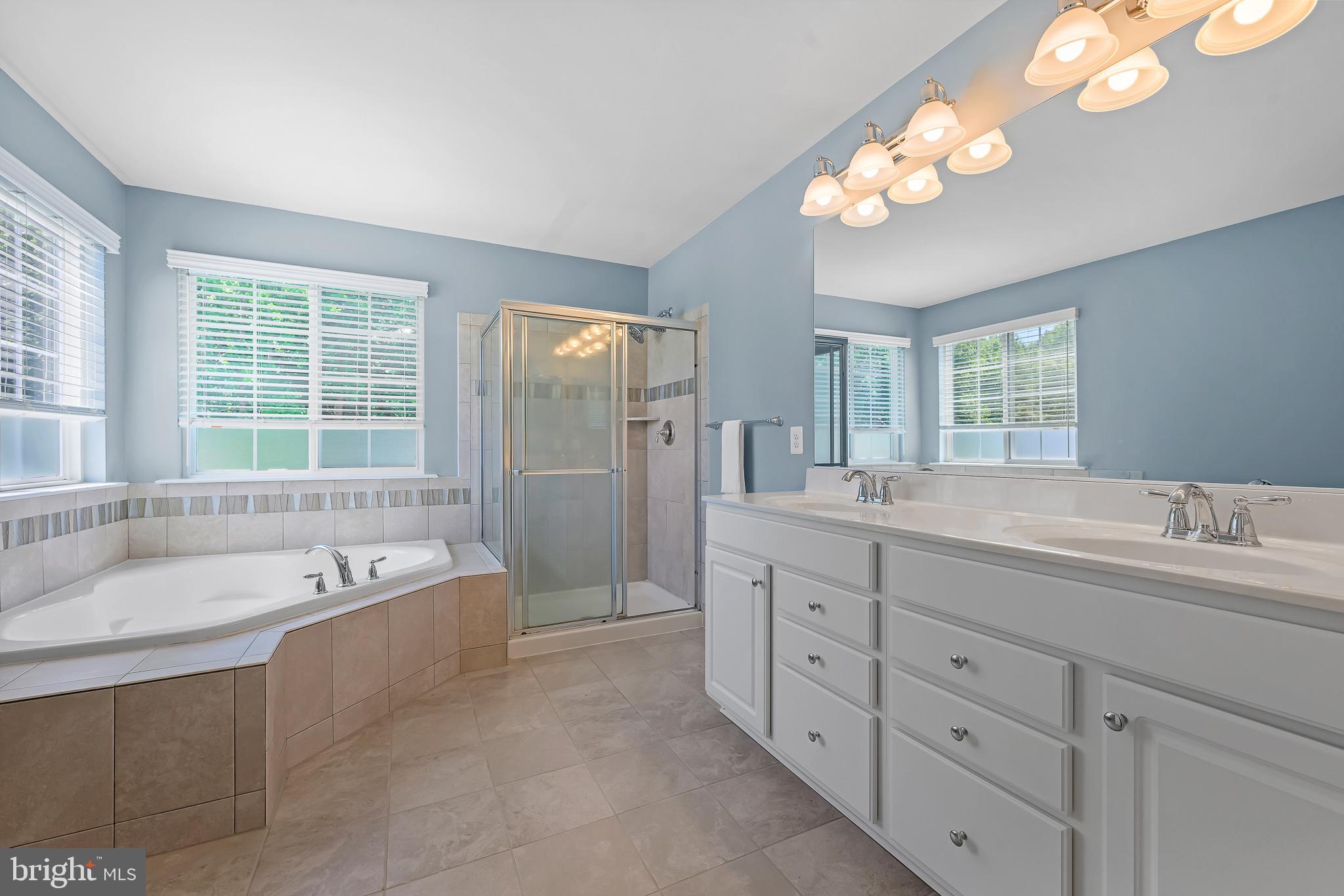 788 Chestnut Ridge Drive Magnolia, DE 19962 - Photo 20 of 47 en-suite