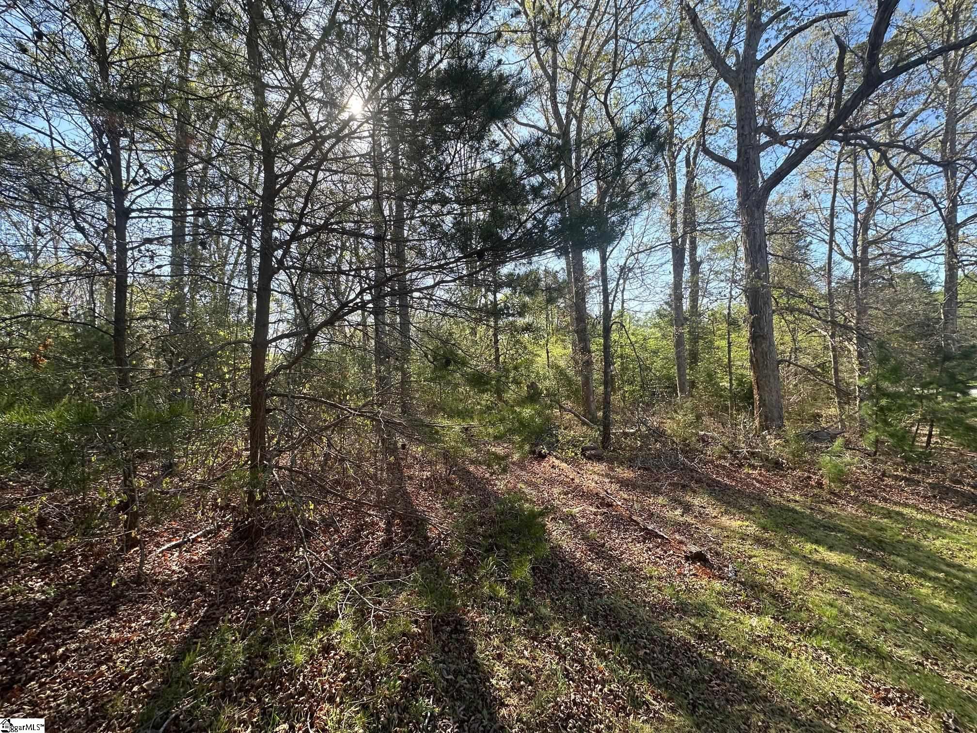 303 Revels Road Chesnee, SC 29323 - Photo 18 of 21