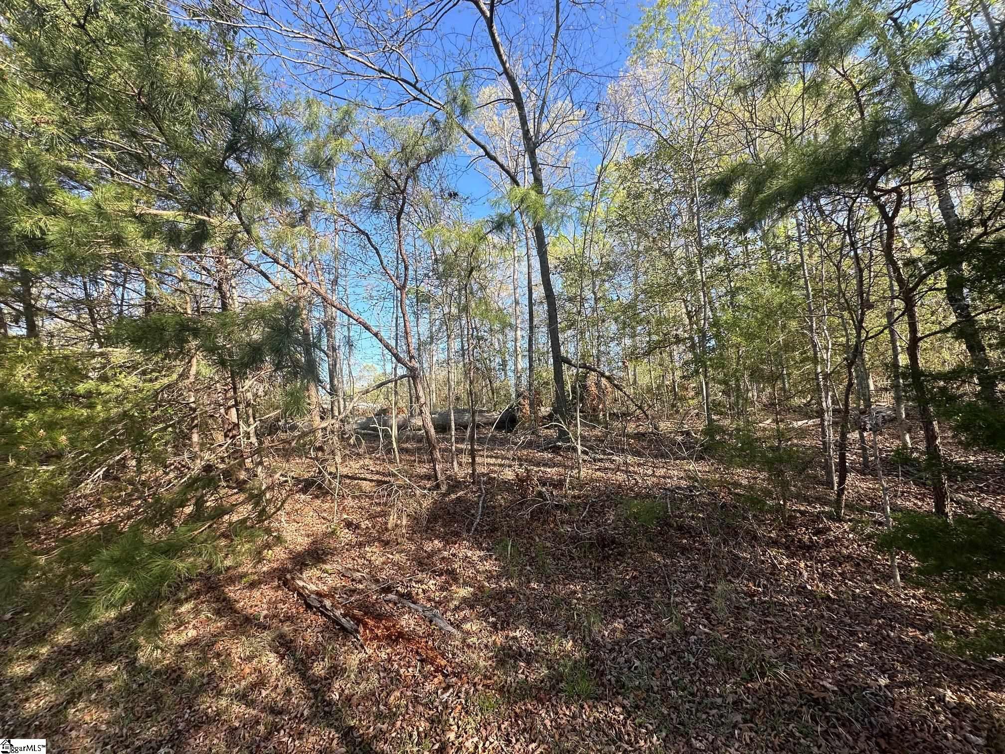 303 Revels Road Chesnee, SC 29323 - Photo 19 of 21