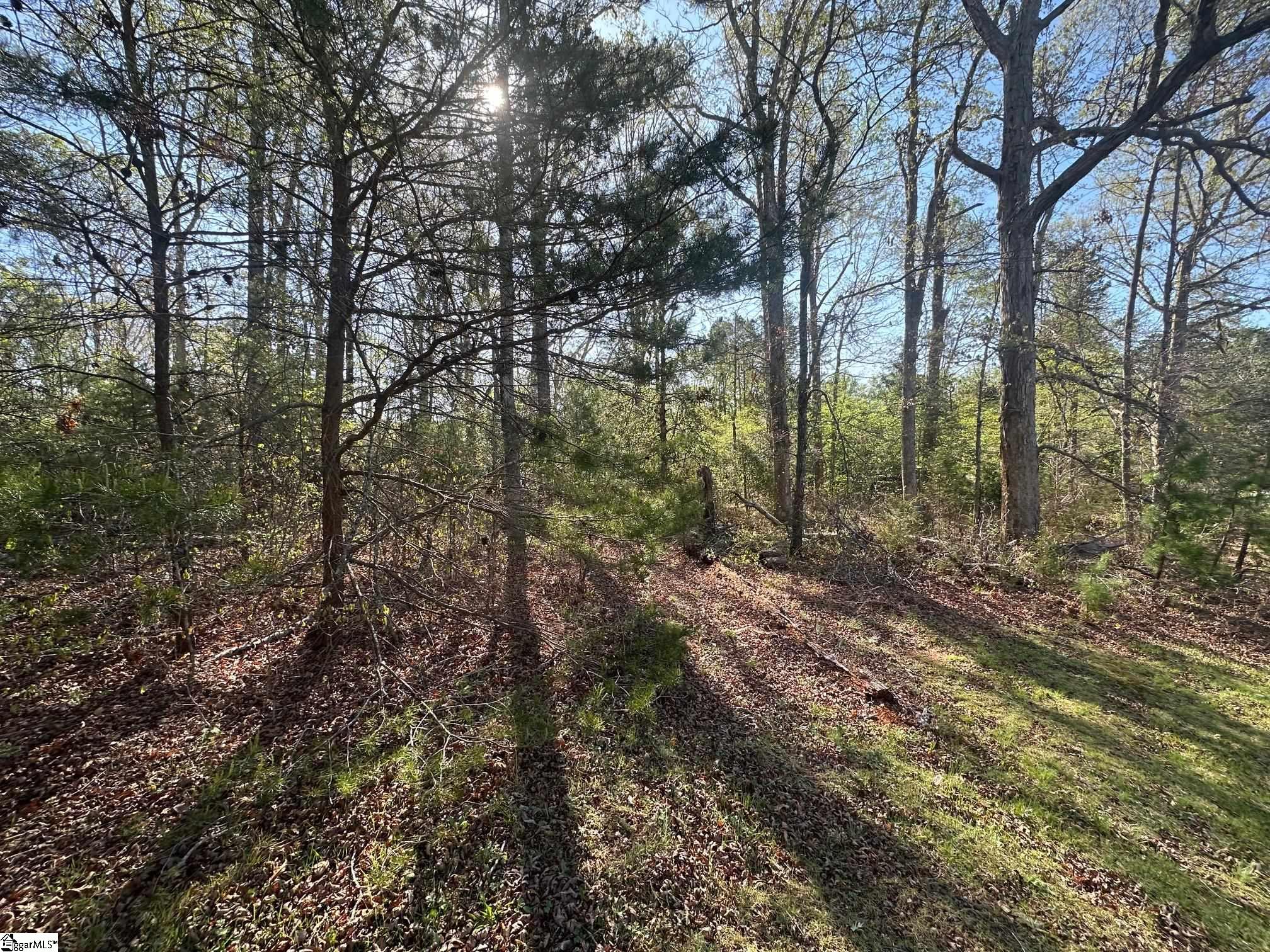 303 Revels Road Chesnee, SC 29323 - Photo 20 of 21
