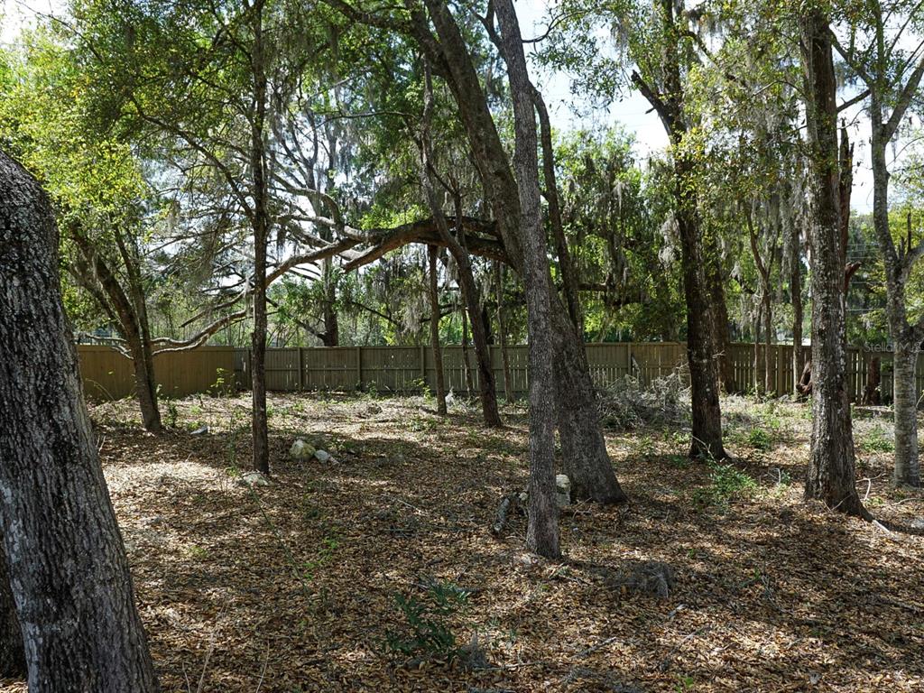 12149 Southwest 9th Lane Gainesville, FL 32607 - Photo 5 of 9