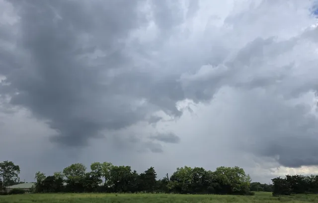 a view of city and trees