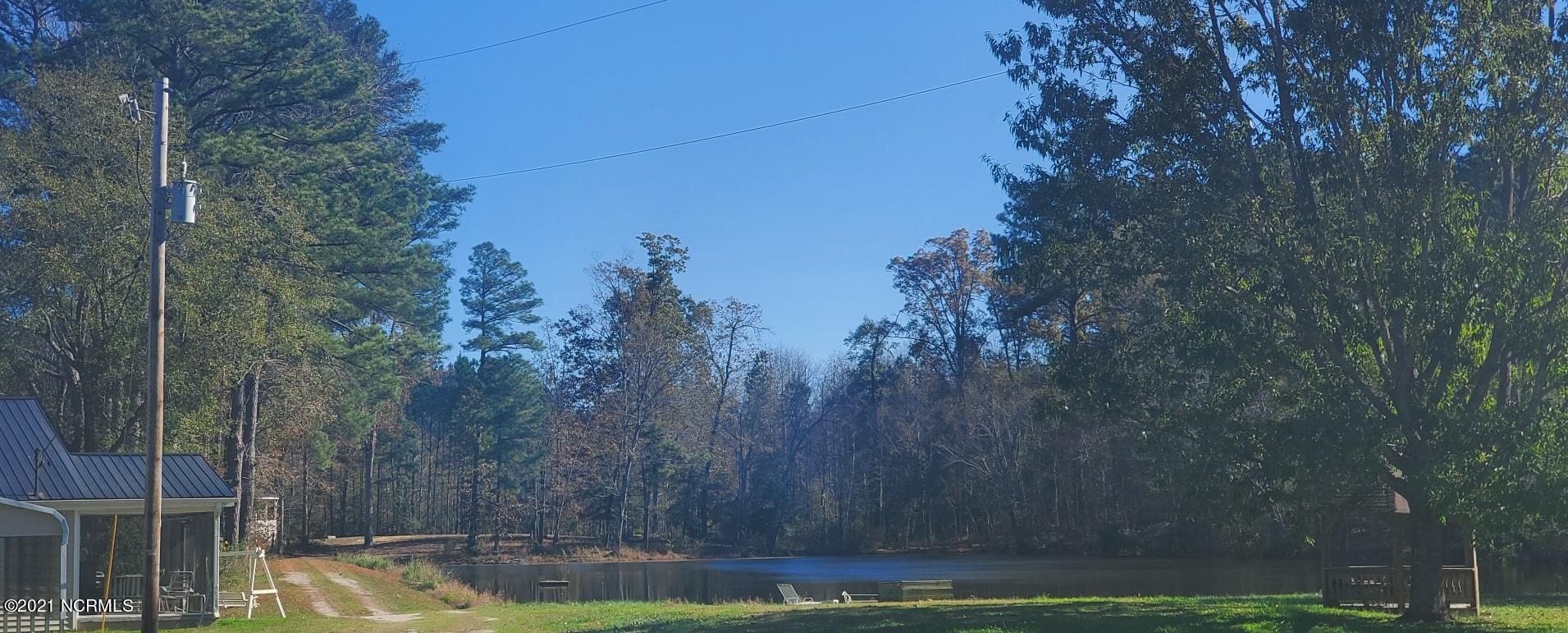 8324 Boy Scout Road Bailey, NC 27807 - Photo 30 of 44 shared drive between houses