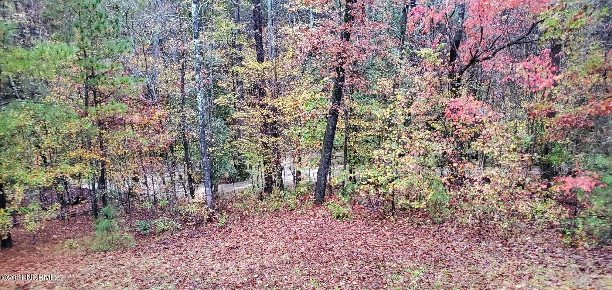 8324 Boy Scout Road Bailey, NC 27807 - Photo 31 of 44 fall colors