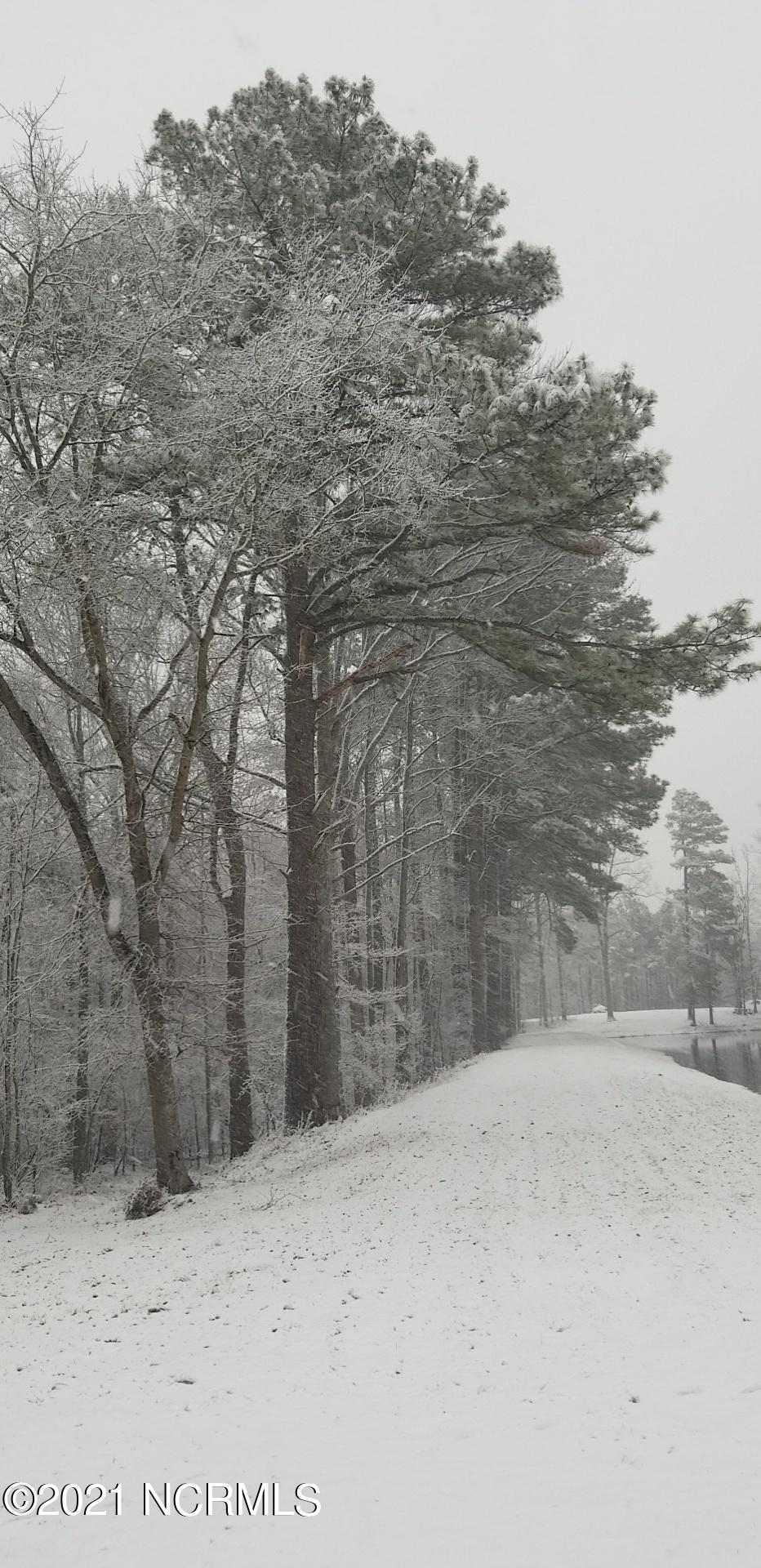 8324 Boy Scout Road Bailey, NC 27807 - Photo 32 of 44 winter