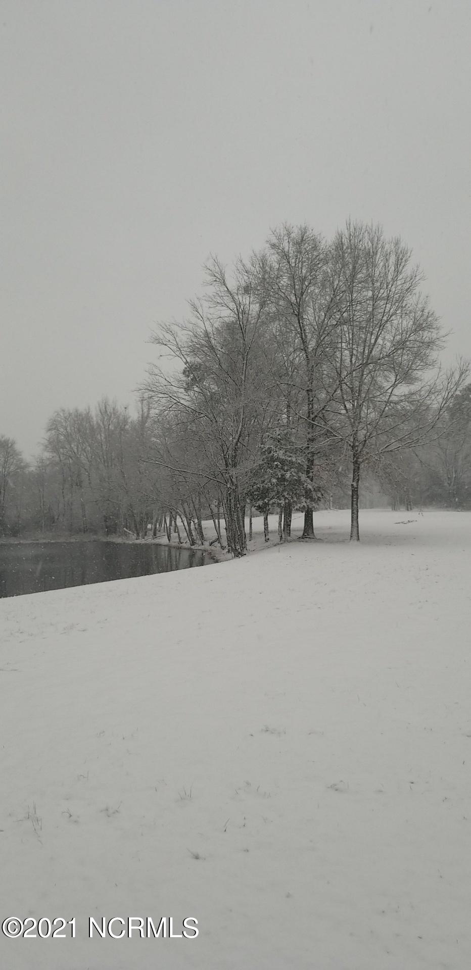 8324 Boy Scout Road Bailey, NC 27807 - Photo 34 of 44 winter pond view