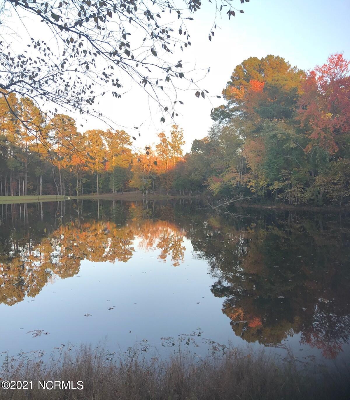 8324 Boy Scout Road Bailey, NC 27807 - Photo 10 of 44 14072