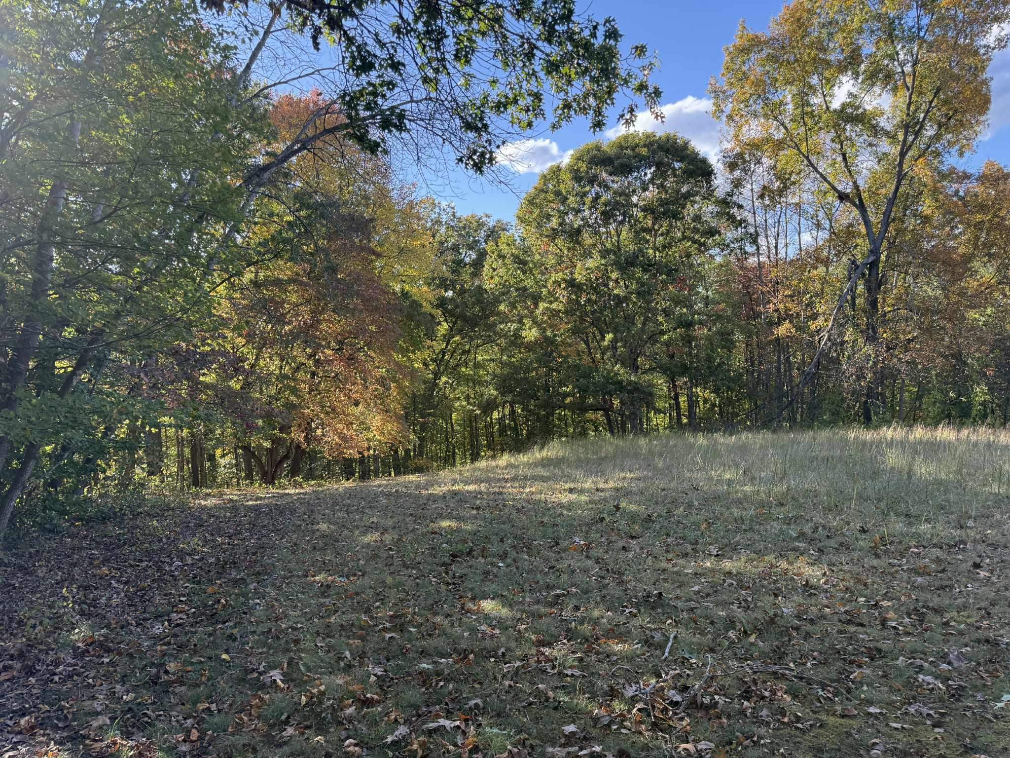 1100 West Price Branch Road Ashland, KY 41102 - Photo 2 of 16